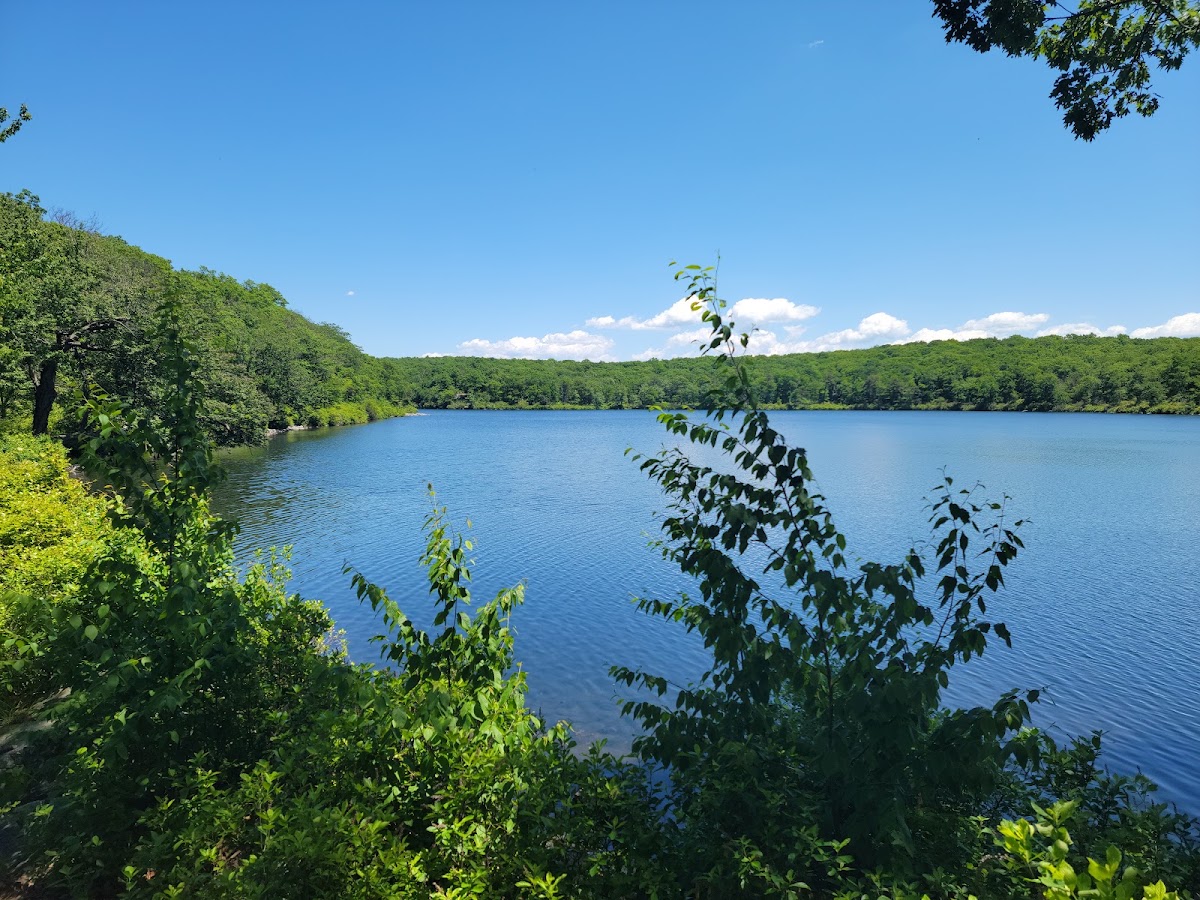 Garvey Springs Trail