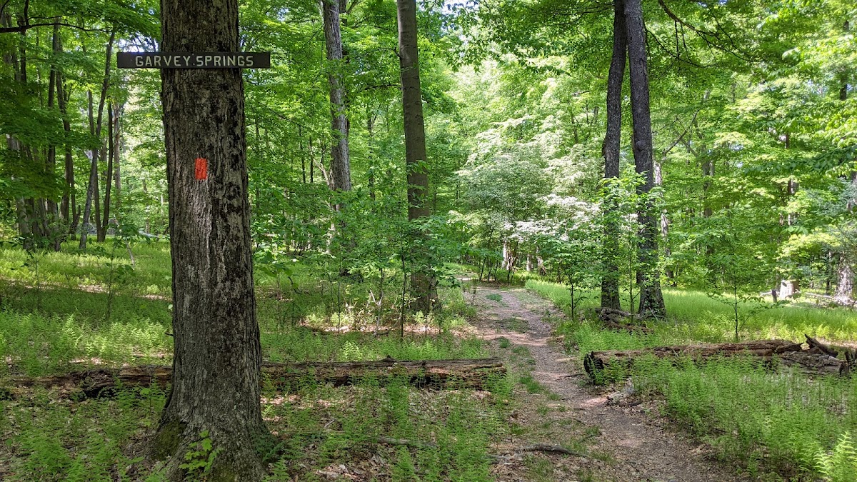 Garvey Springs/Rockcores Trail