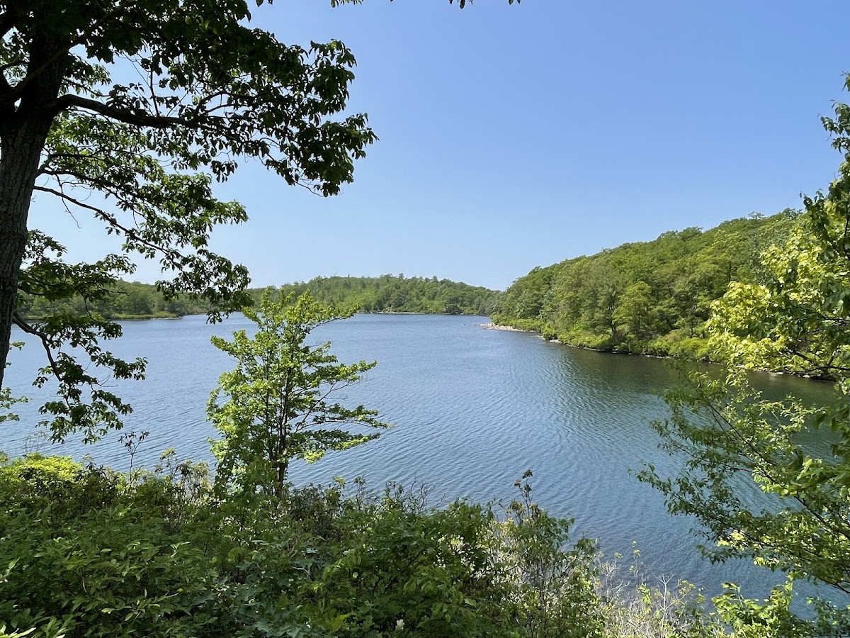 Sunfish Pond Fire Road/Buckwood Trail