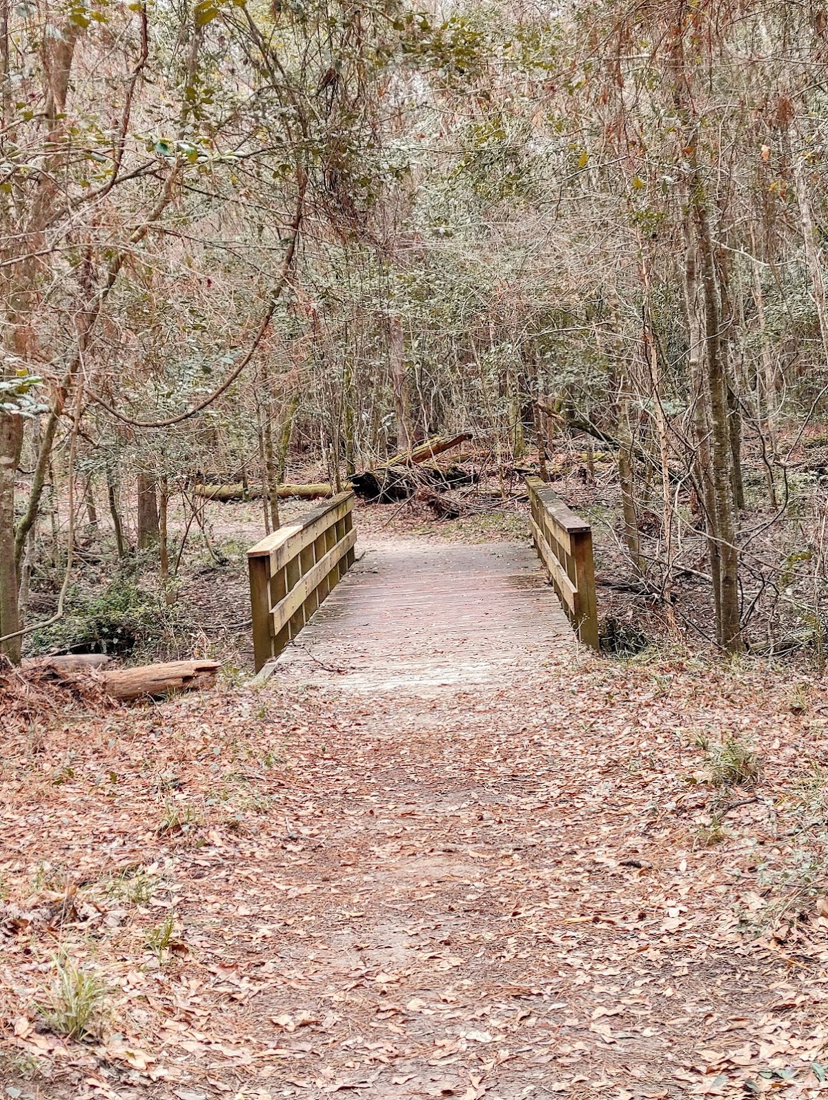 Turkey Creek