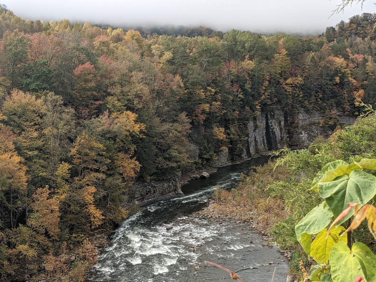 Russell Fork