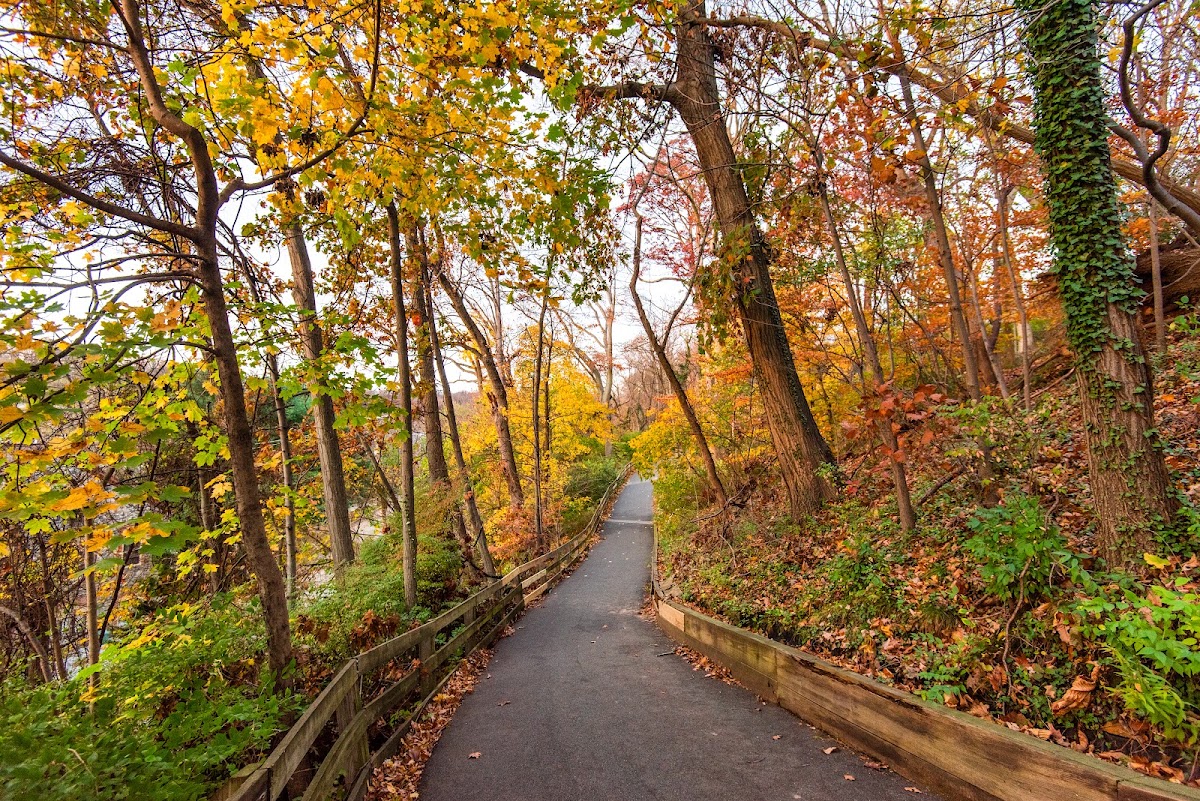 Alapocas Run State Park