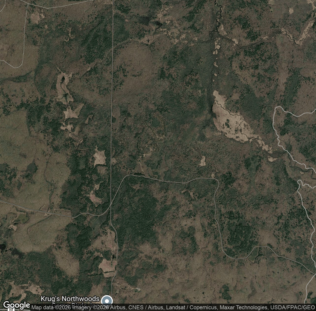 Forest Trail 302