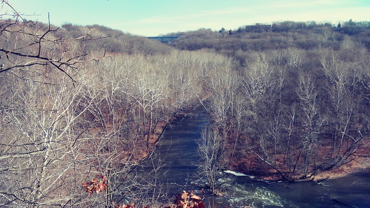 Overlook Trail