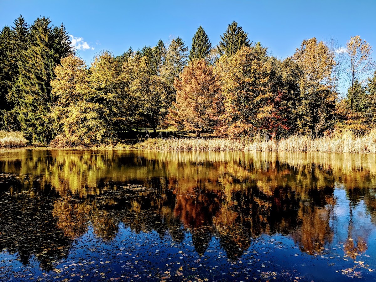 Ponds Trail