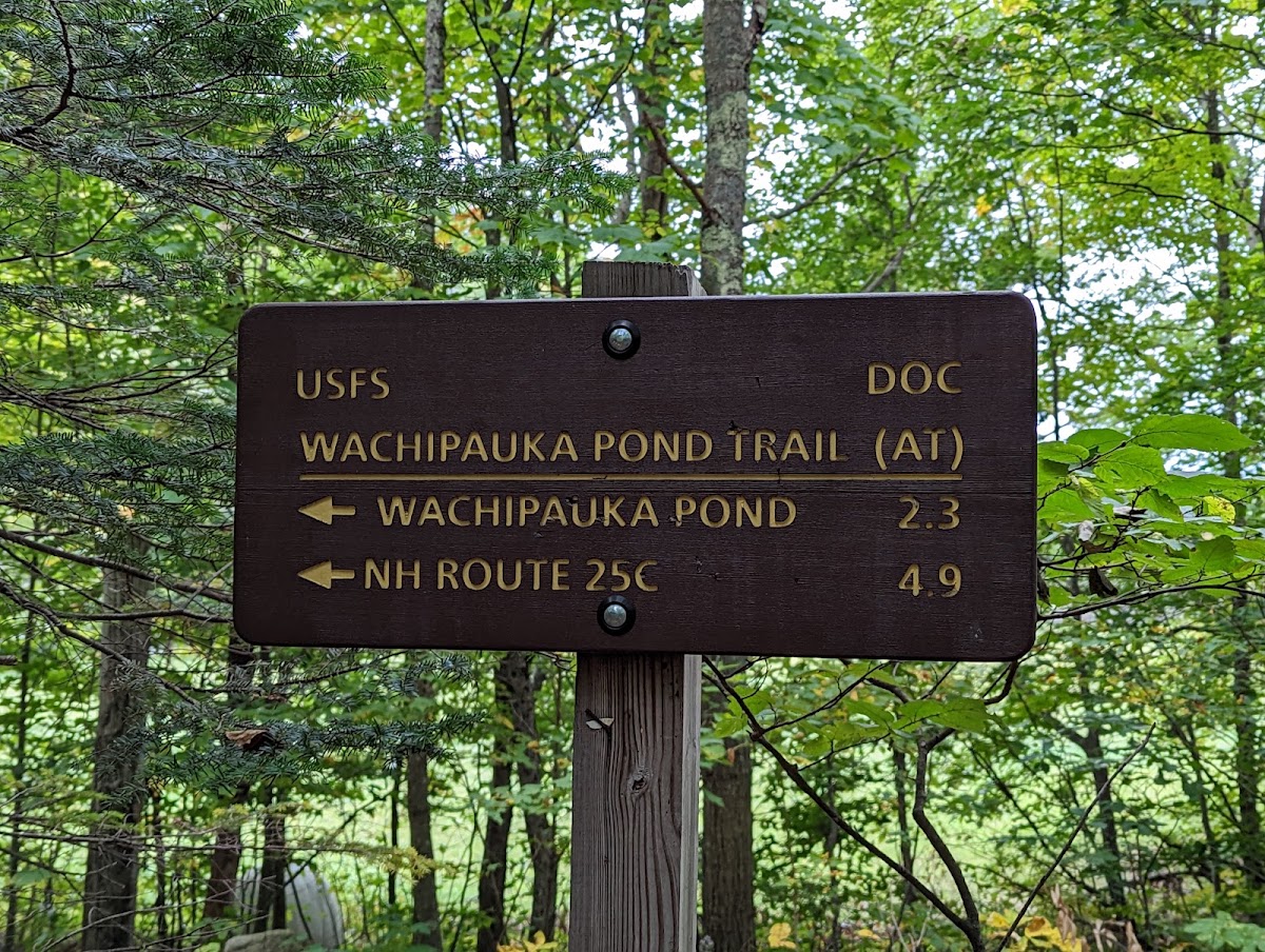 Wachipauka Pond Trail