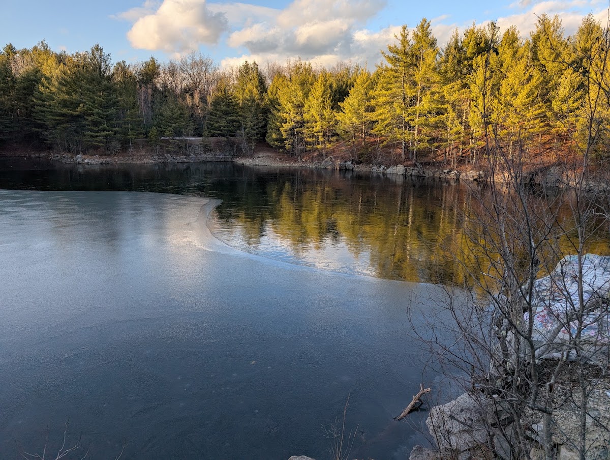 Boxford State Forest