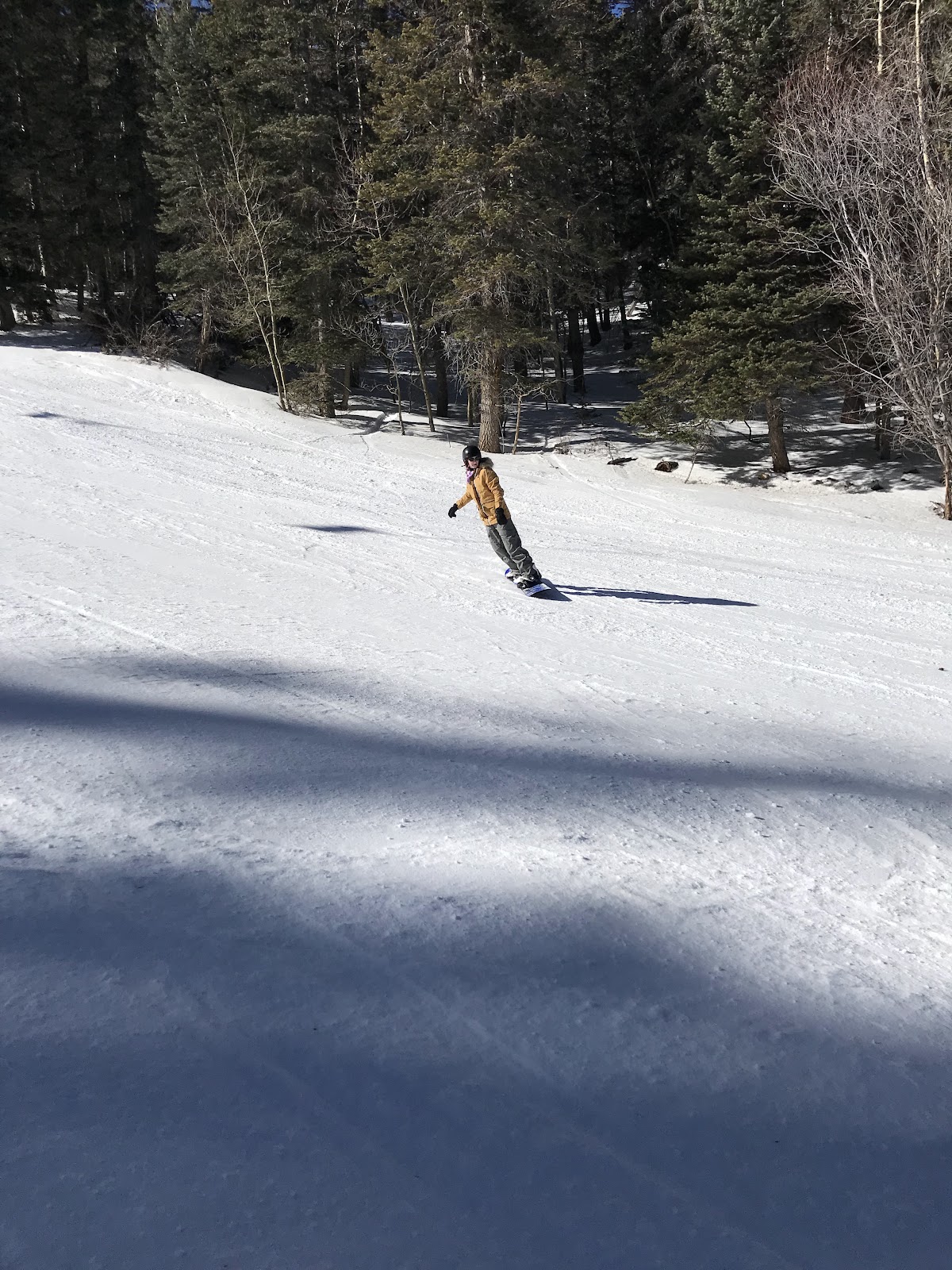 Mid-Eastern Sandias, Ski Area to Cienega Canyon