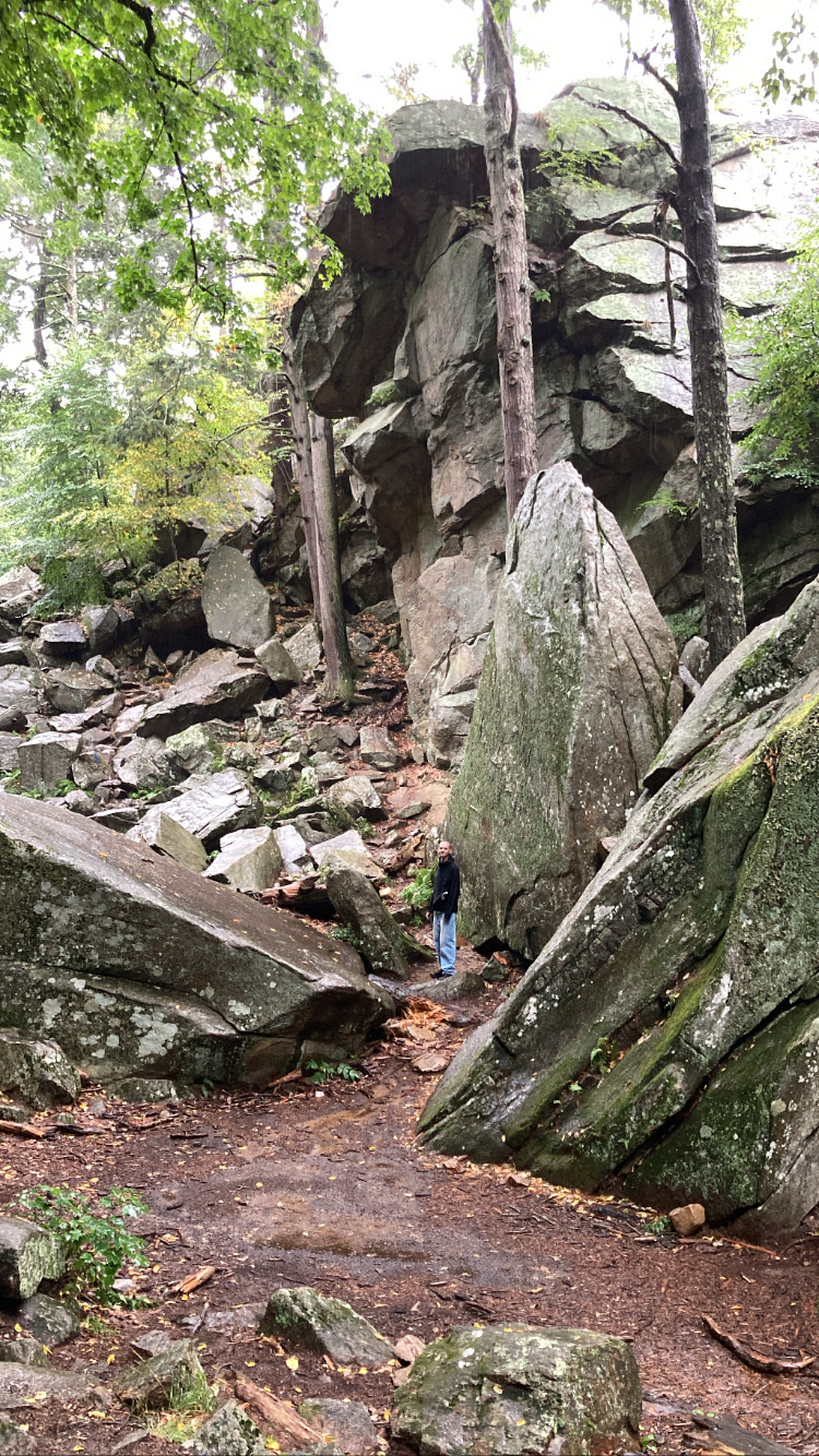 Sutton State Forest