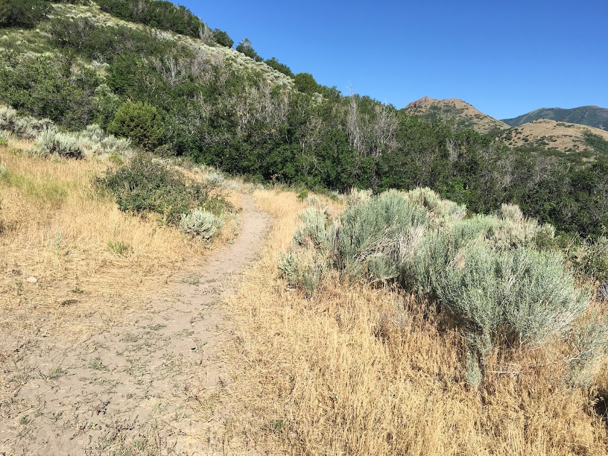 Yellow Fork Canyon County Park
