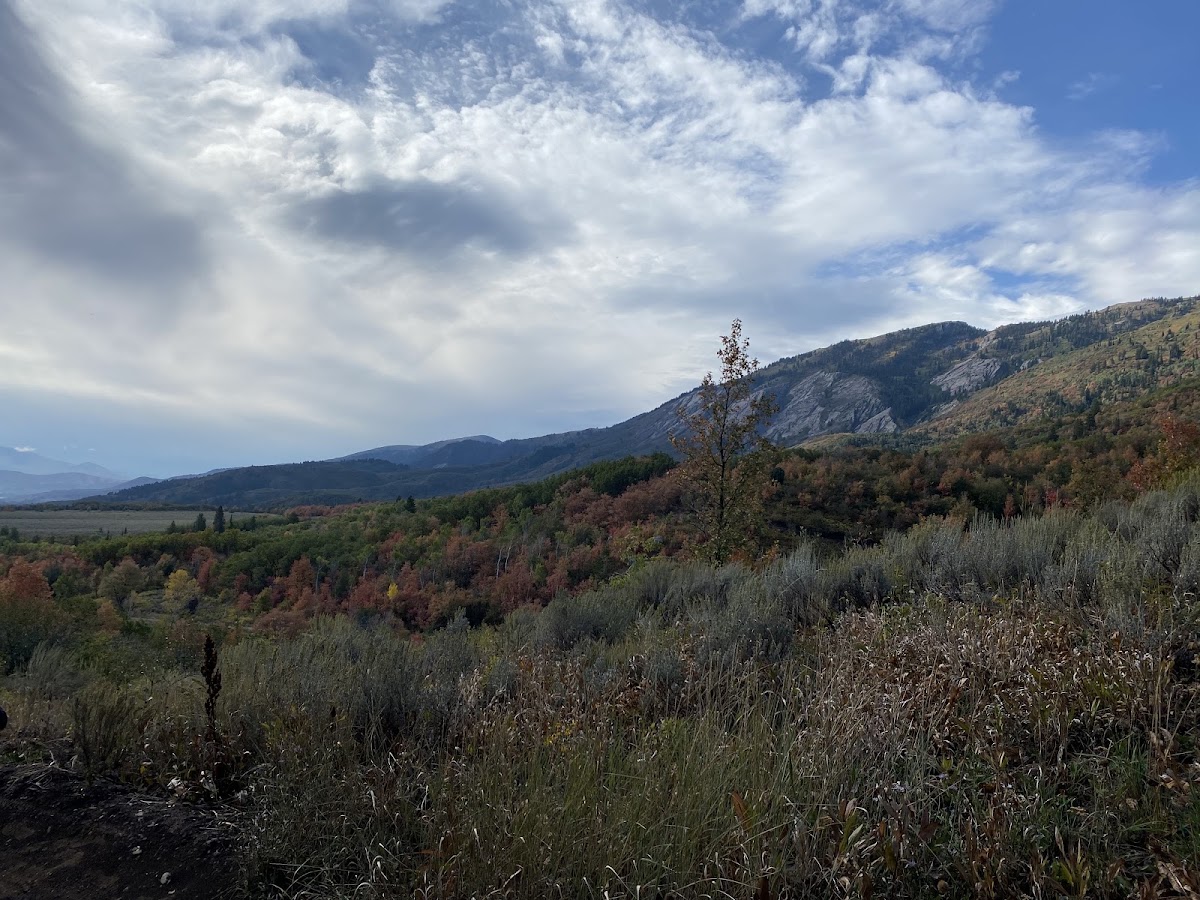 North Fork Park