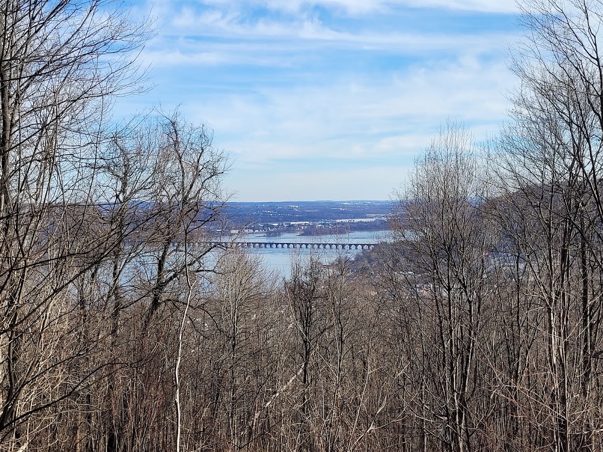 Hamer Woodlands at Cove Mountain Preserve