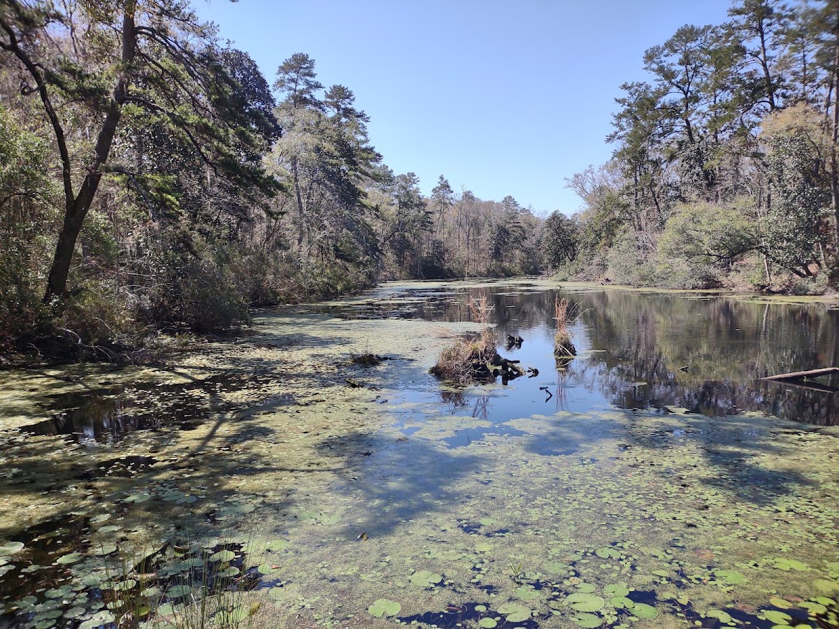 Bear Creek Educational Forest