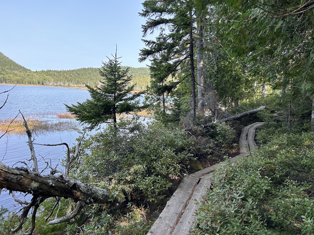 Hadlock Ponds Trail