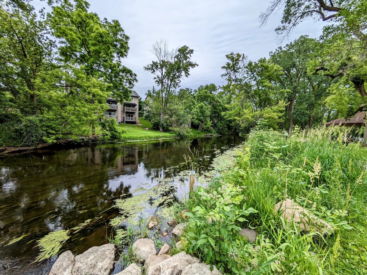 Looking Glass River