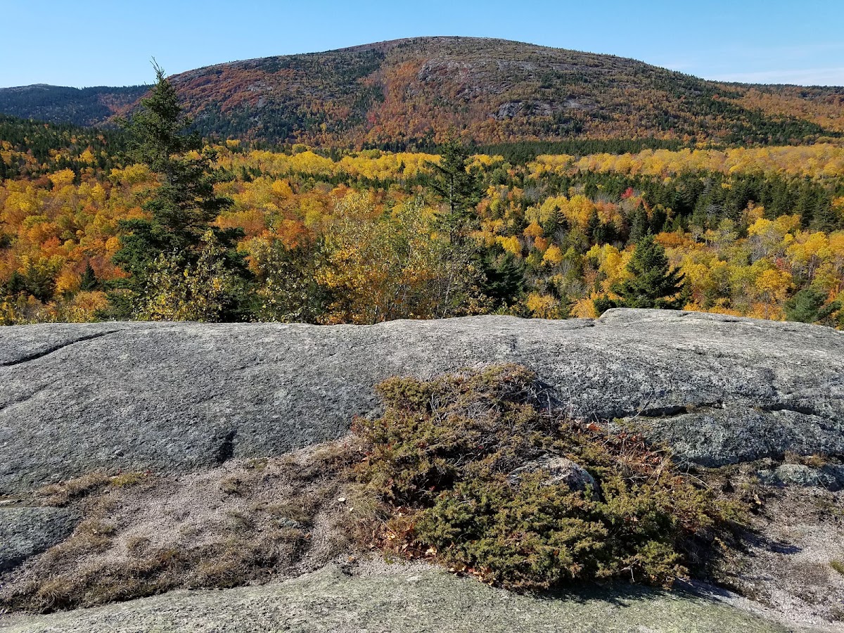 Connors Nubble Trail