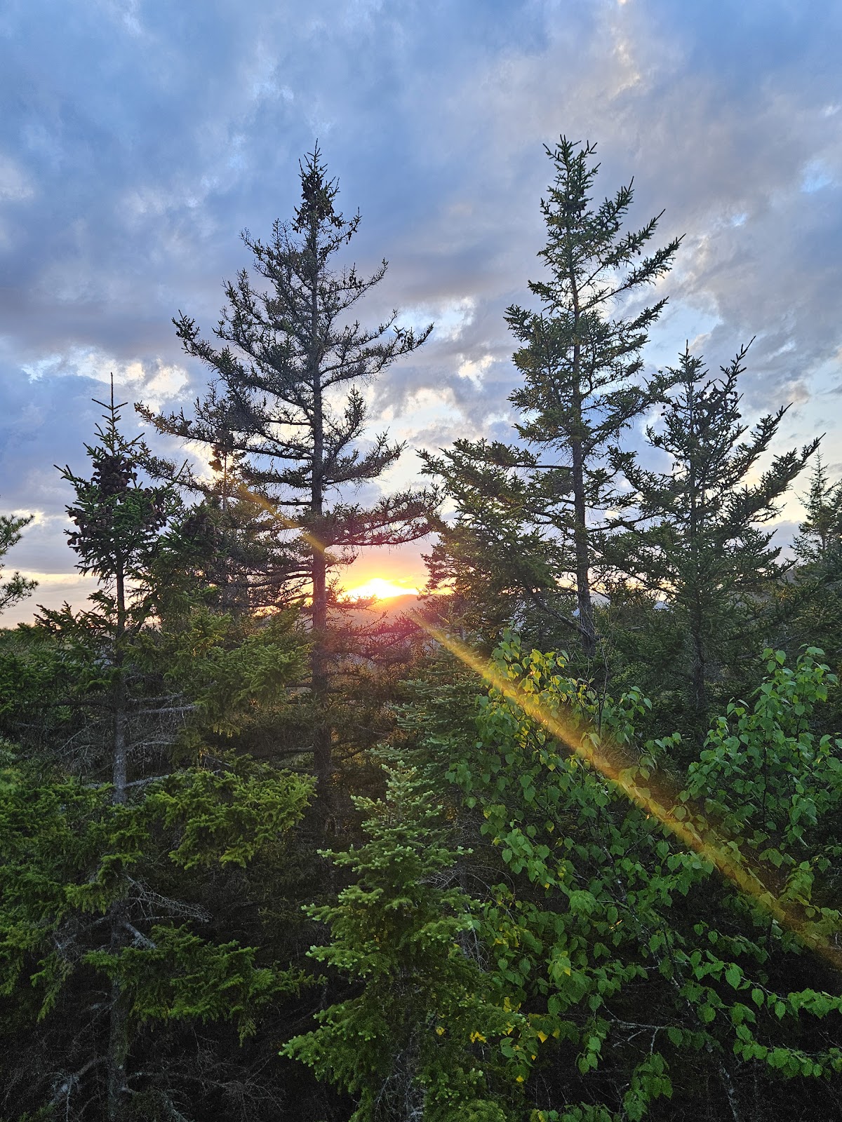 Triad Trail