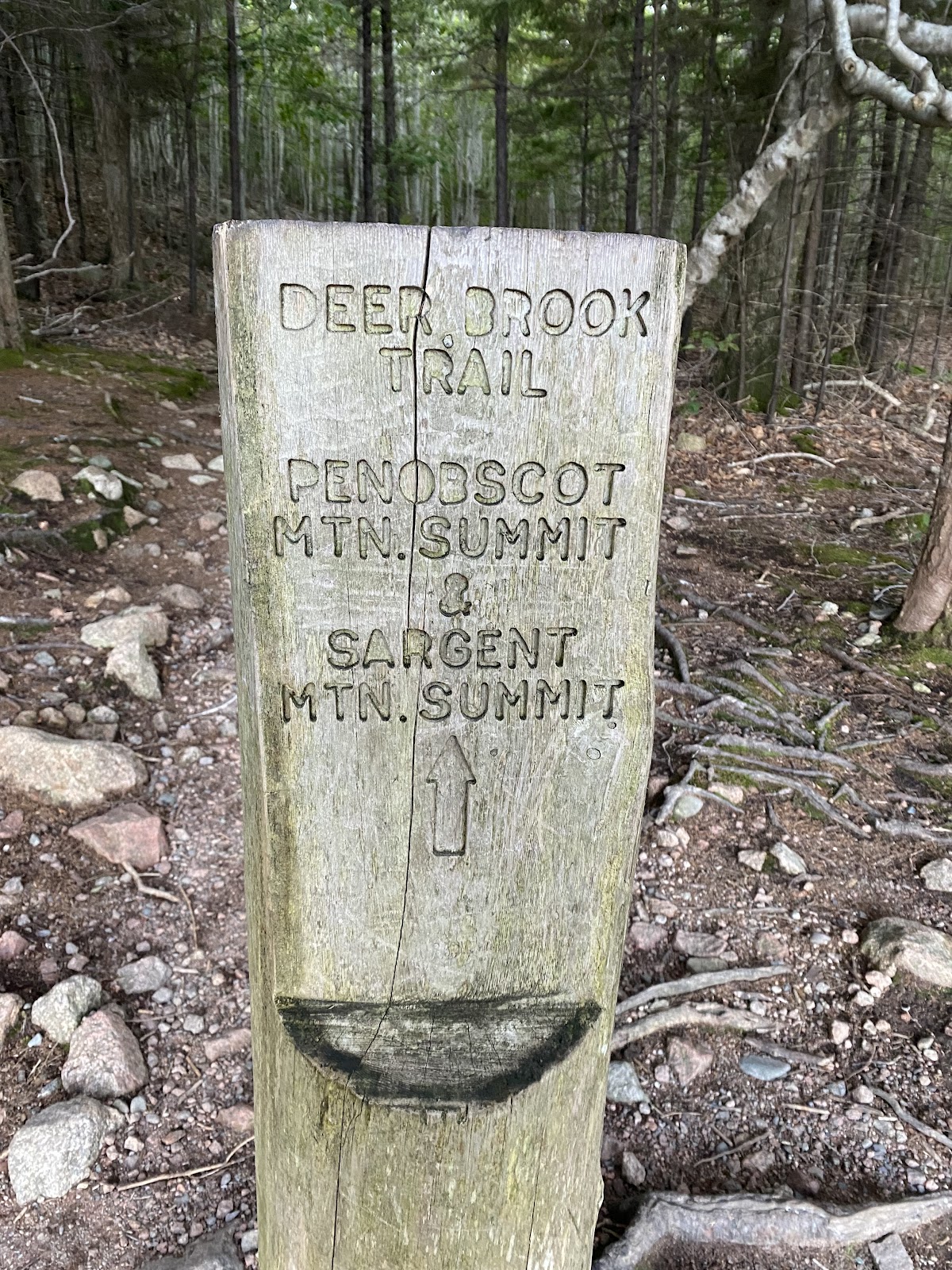 Deer Brook Trail