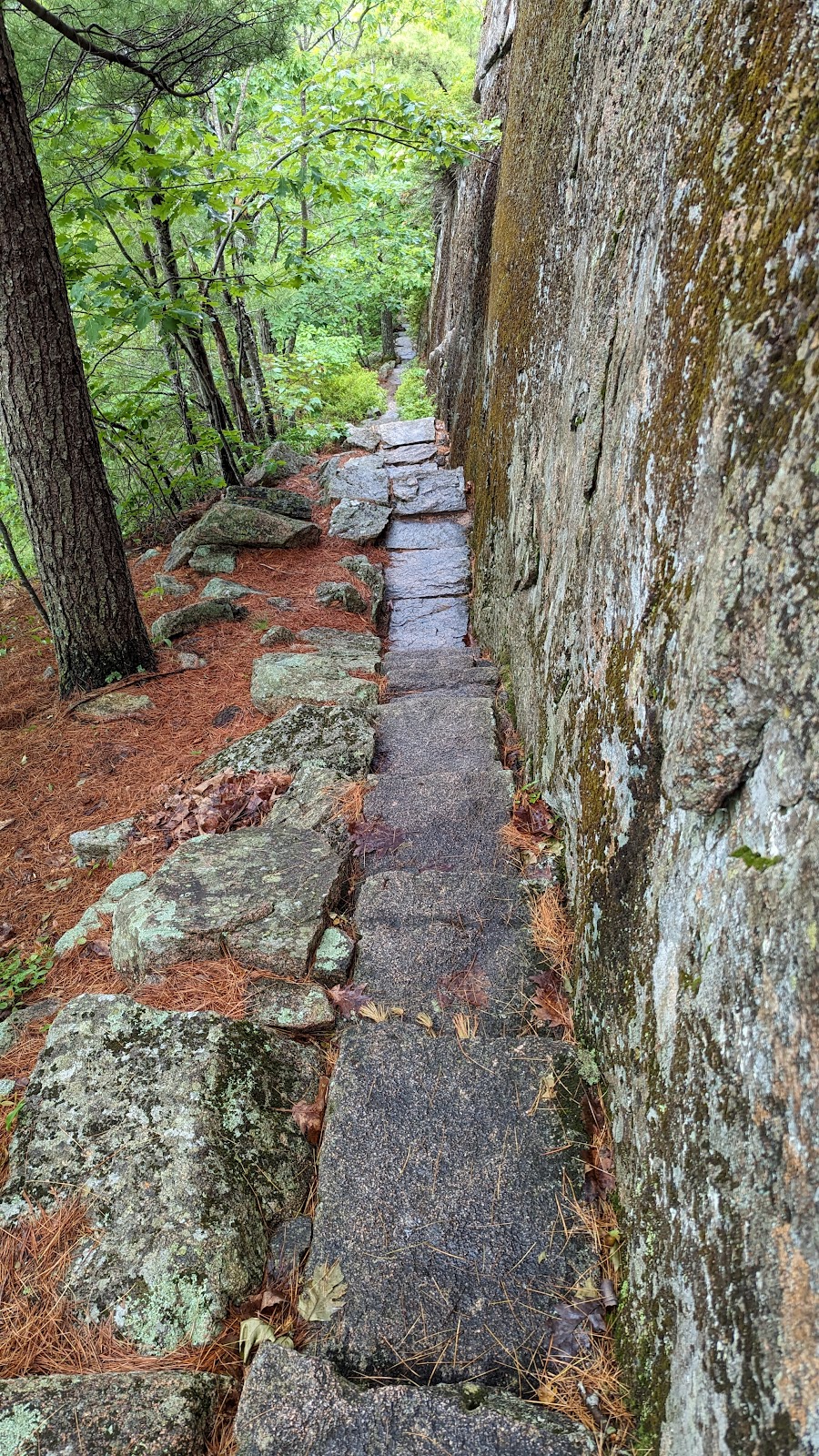 Ladder Trail