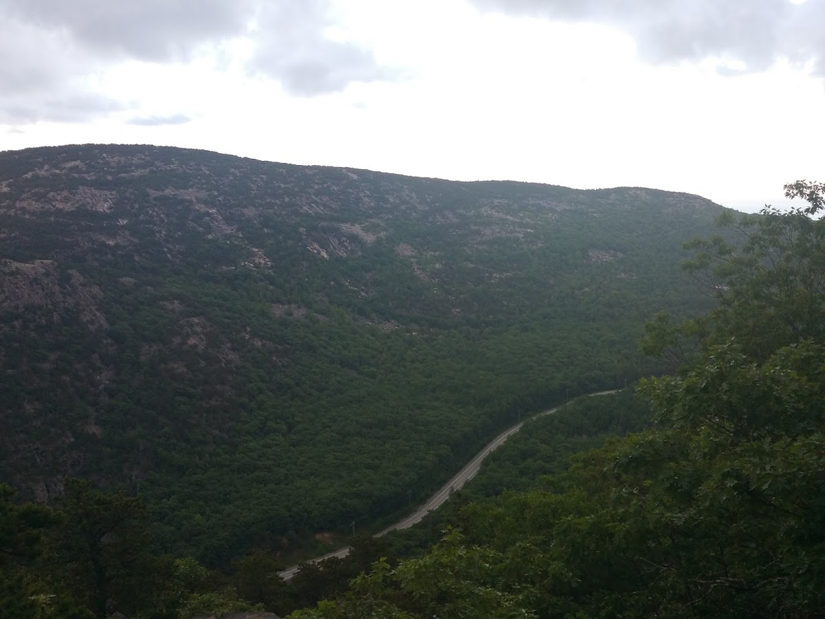 Schiff Path