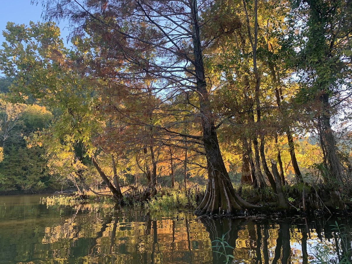 Maumelle River