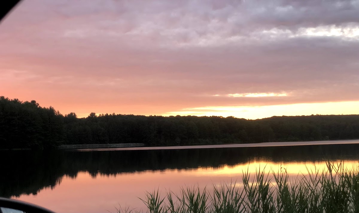Old Marsh Pond