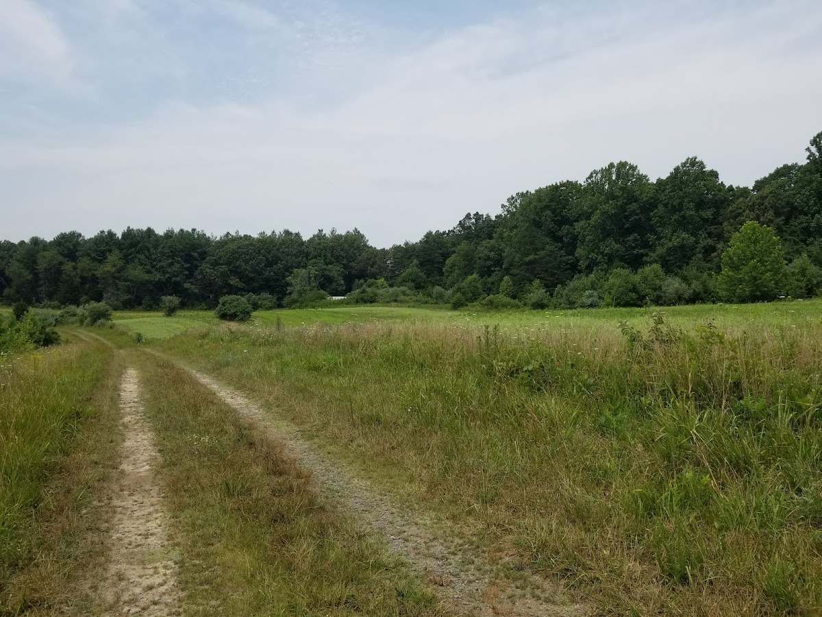 C.F. Phelps Wildlife Management Area