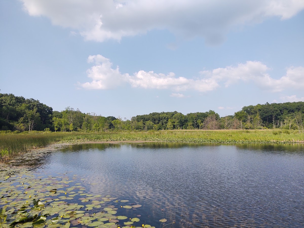Pokagon State Park