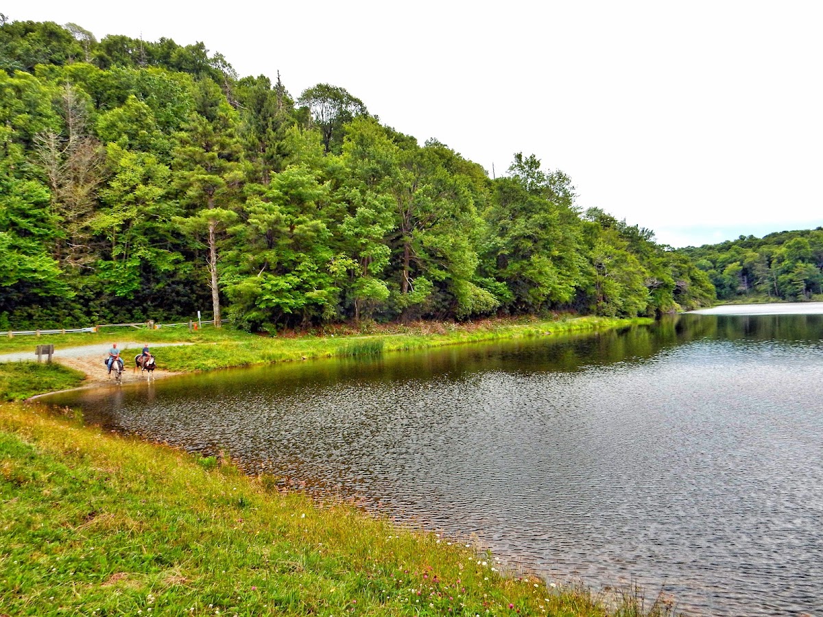 Flannery Fork
