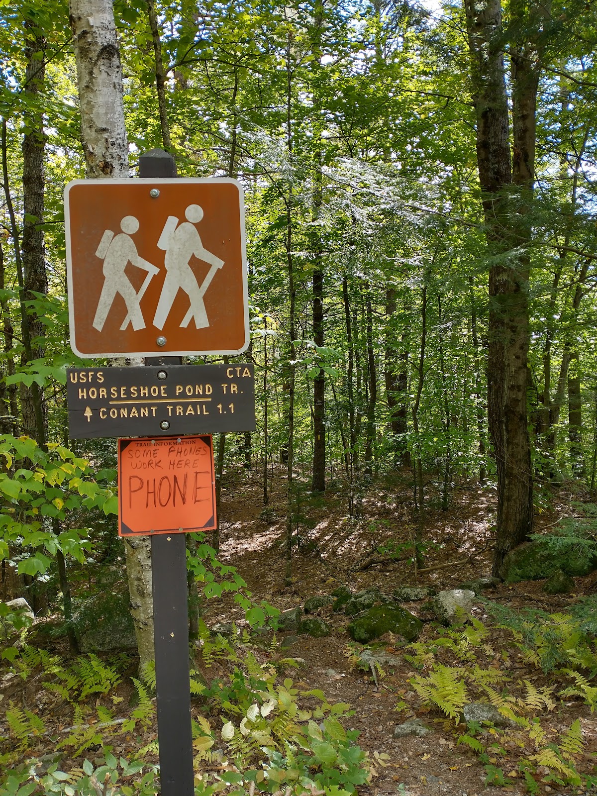 Horseshoe Pond