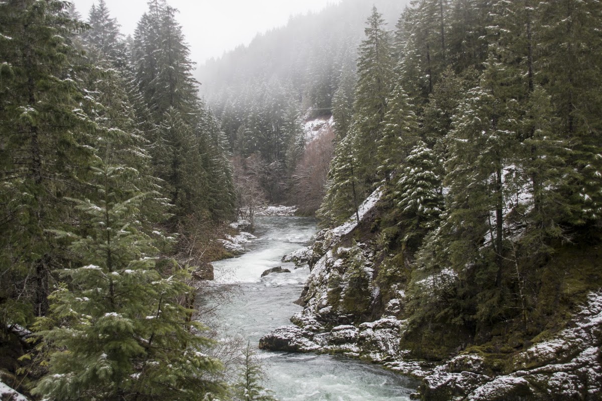 Breitenbush River