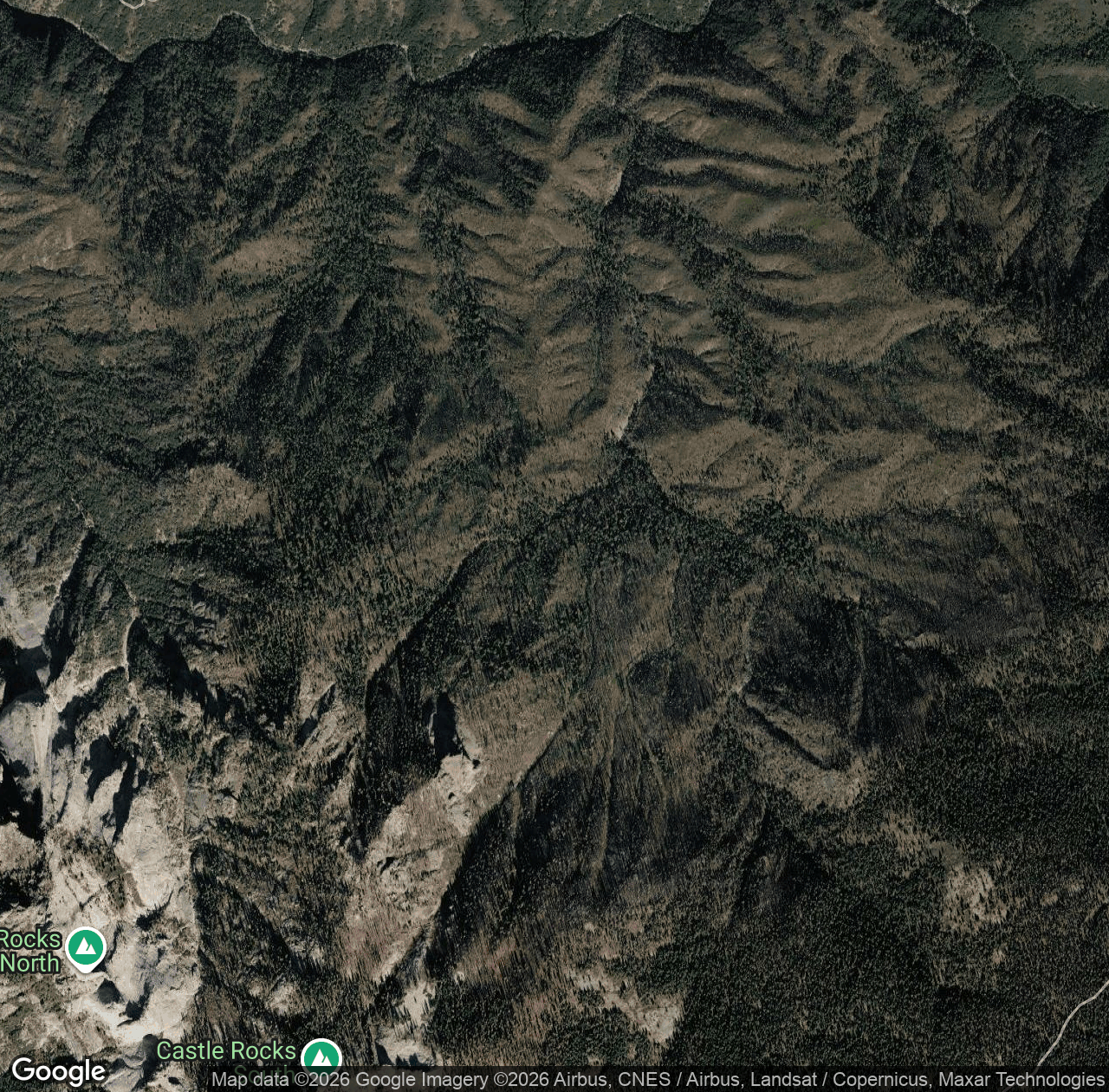 Castle Creek Grove