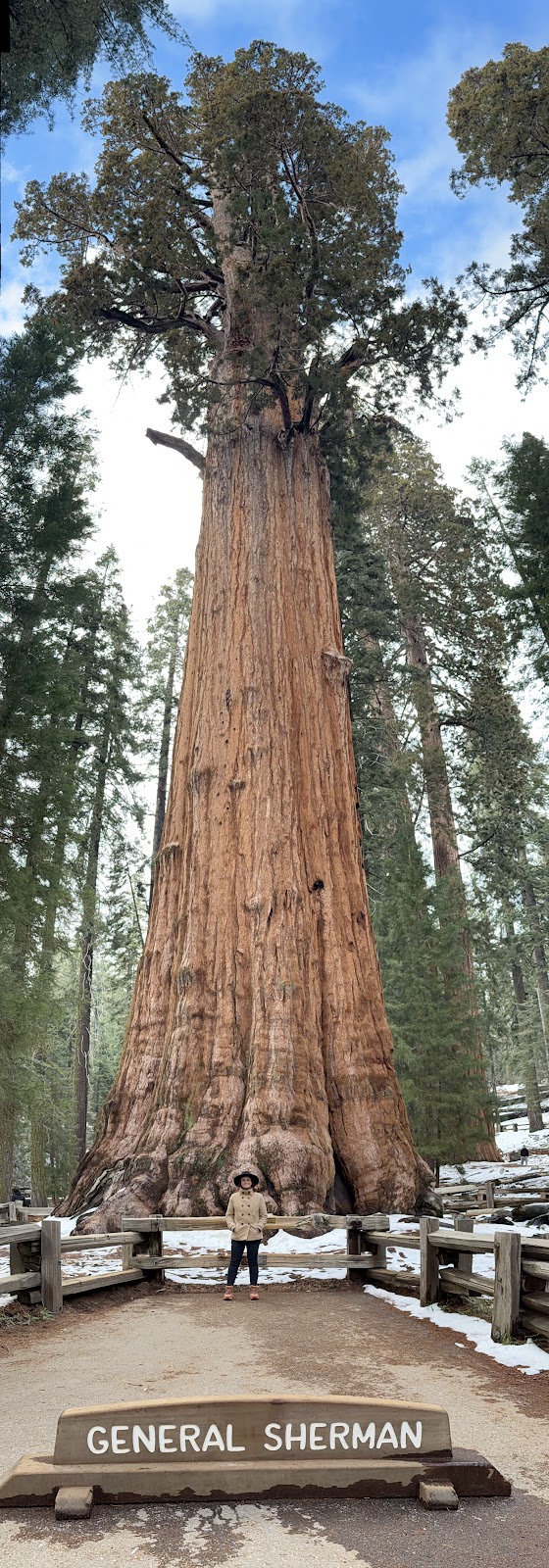 Giant Forest