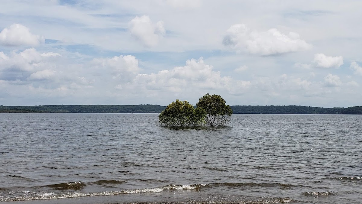 Perry State Park