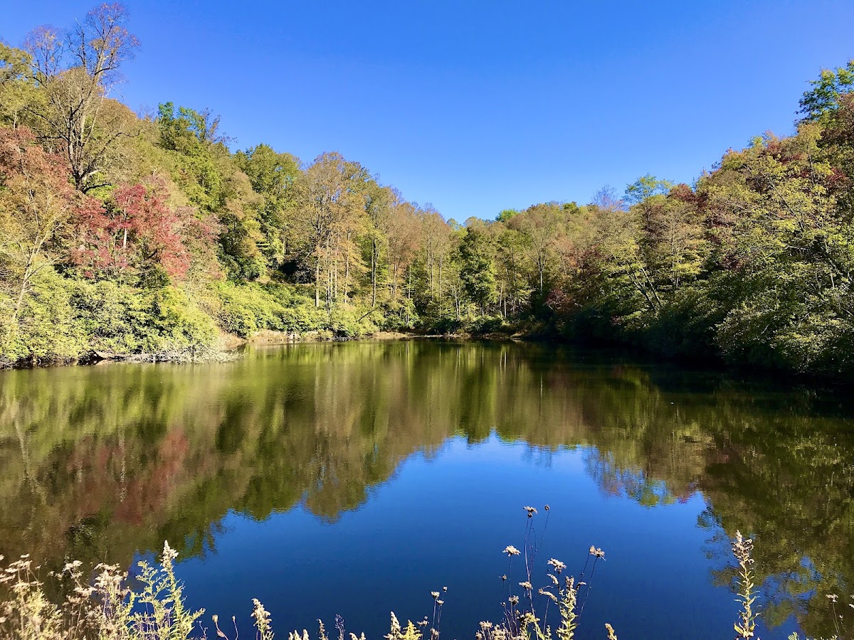 Sims Pond