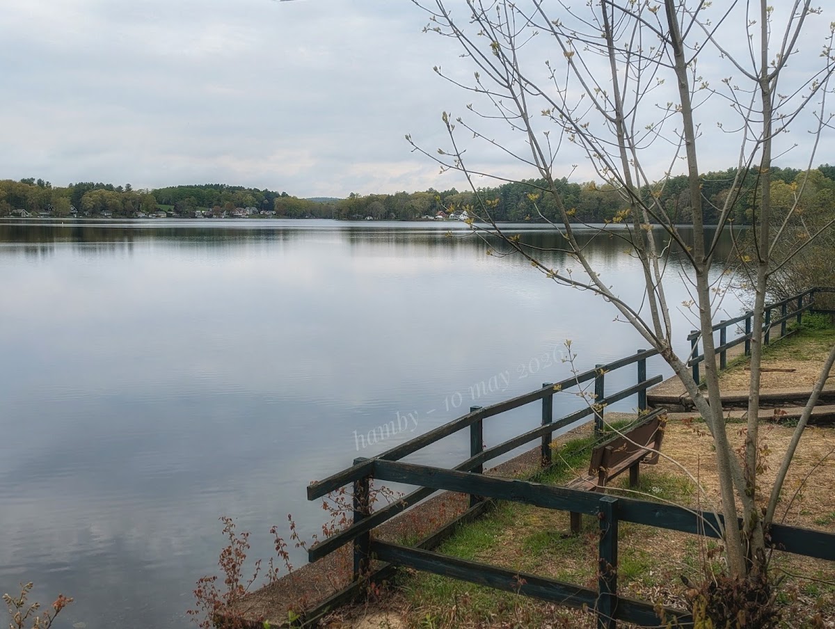 Crystal Pond
