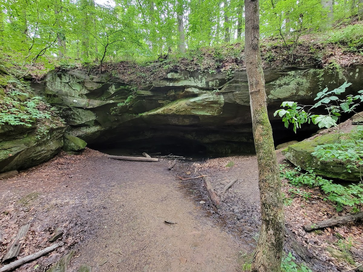 Deer Lick Cave