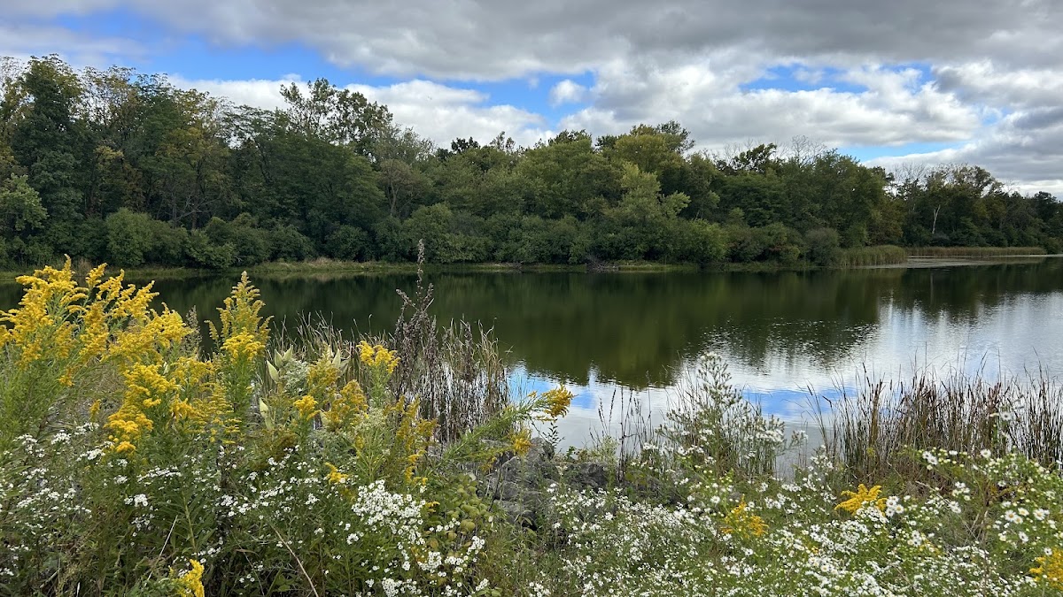 Busse Lake - Main Pool