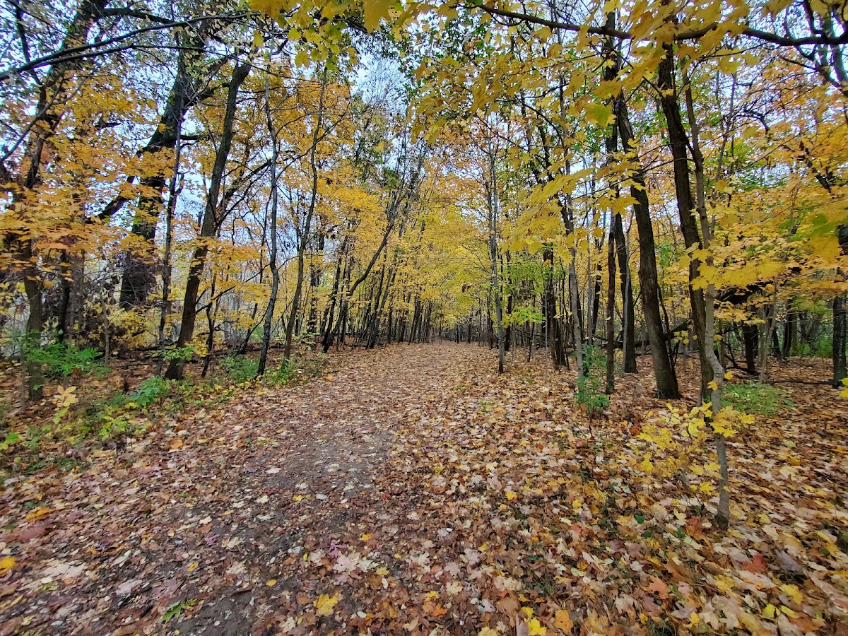 Metea Park