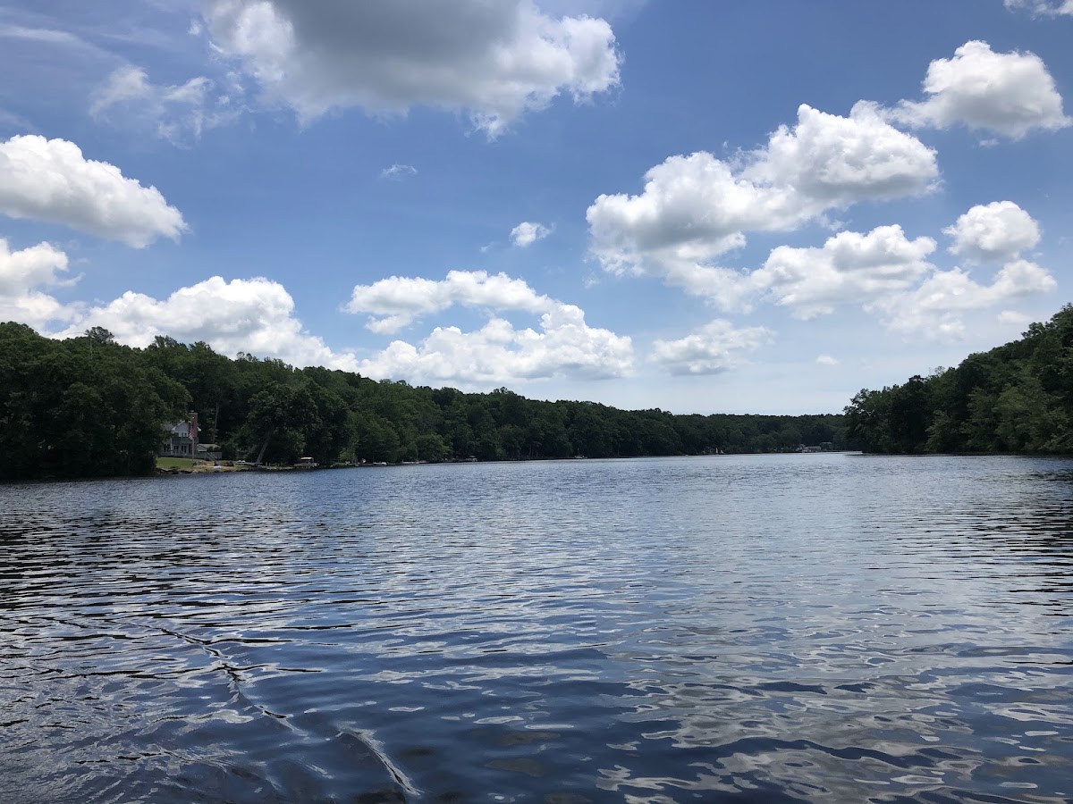 Pickerel Lake