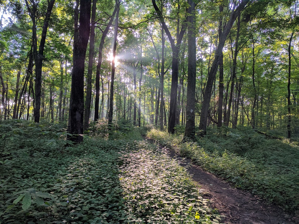 Tecumseh Trail