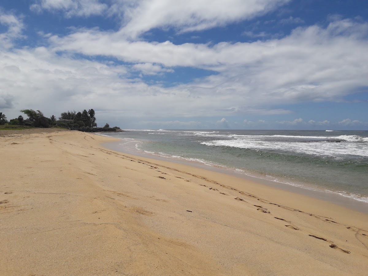 Kekaha Beach