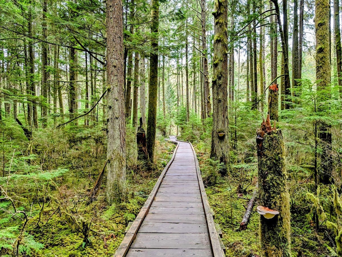 Grand Ridge Park