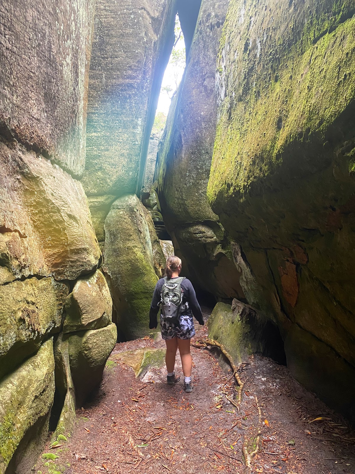 Brumley Mountain Trail