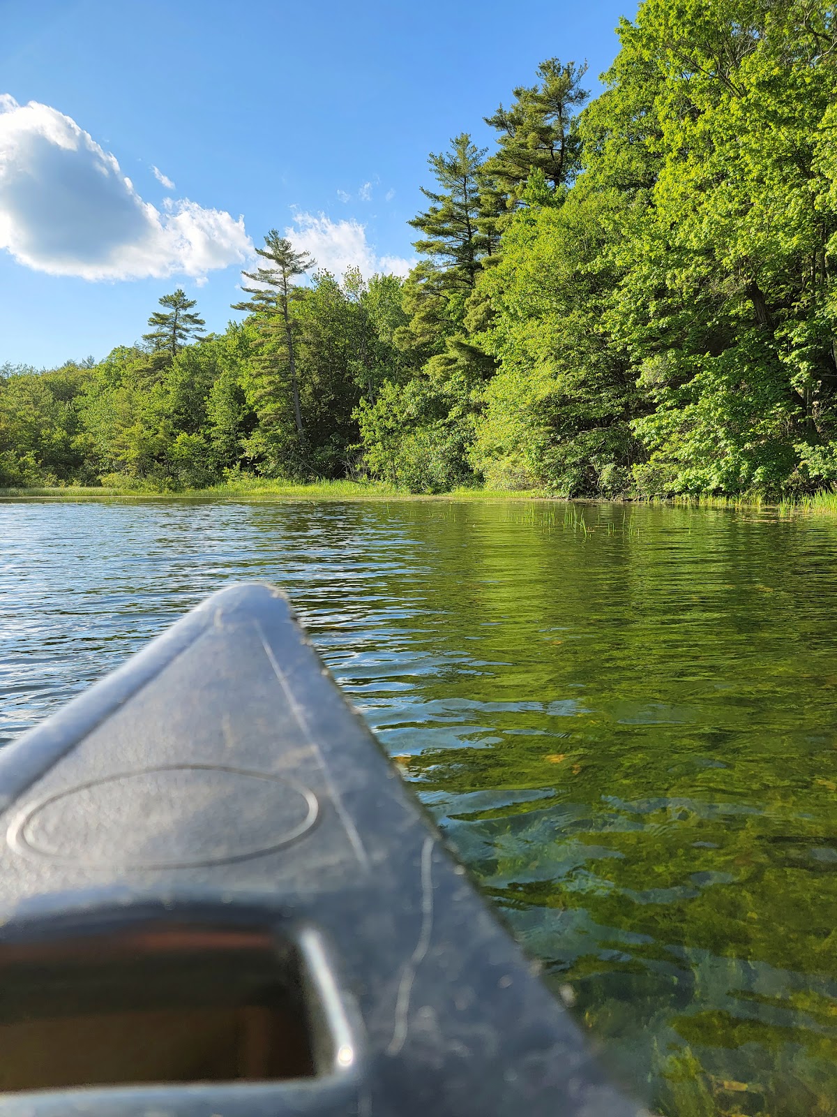 Doolittle Lake