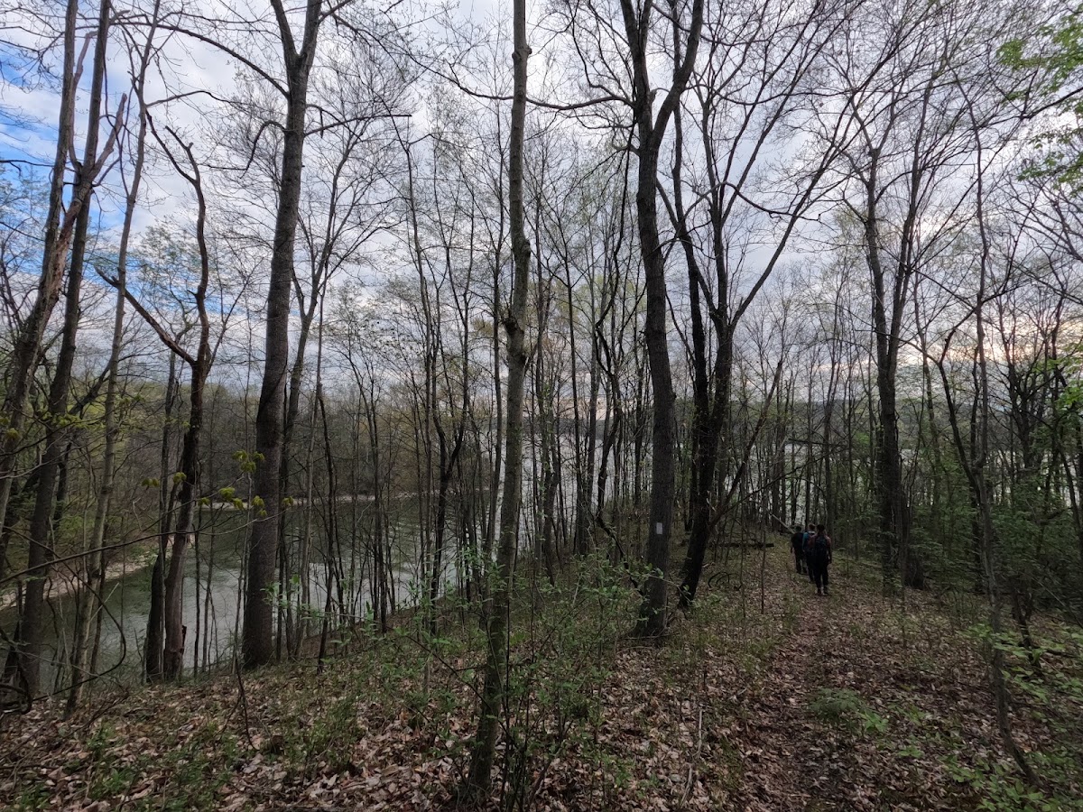 Wolf Creek / Adena Trace Loop