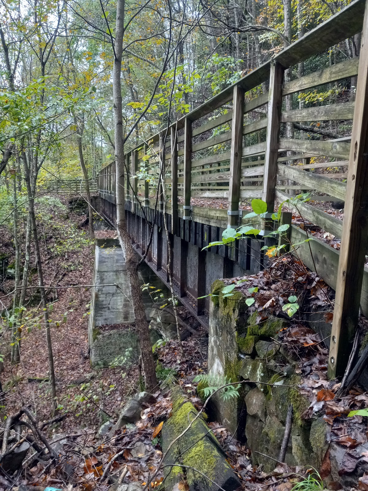Rend Trail