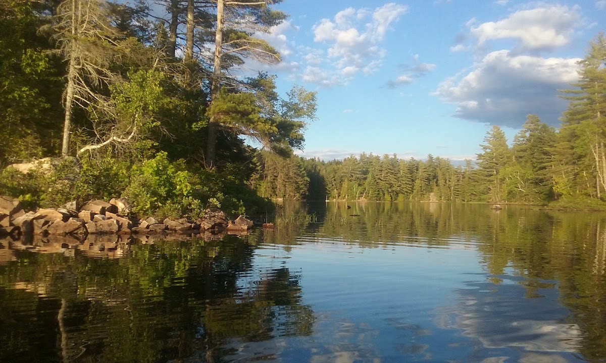 Nashs Lake