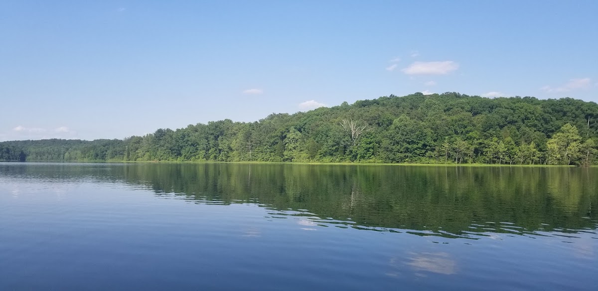 Lake Celina