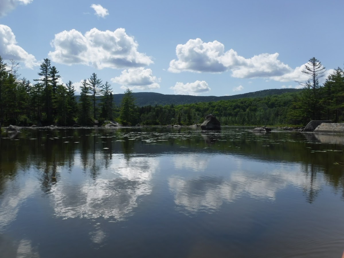 Bald Mountain Pond